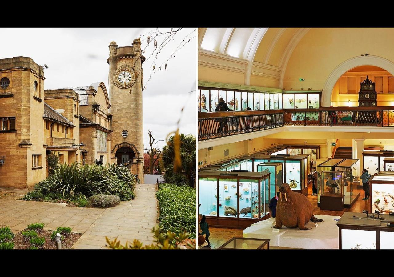 Appartamento The Nest Of Forest Hill Londra